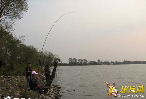 QQ截图20160425144314.png